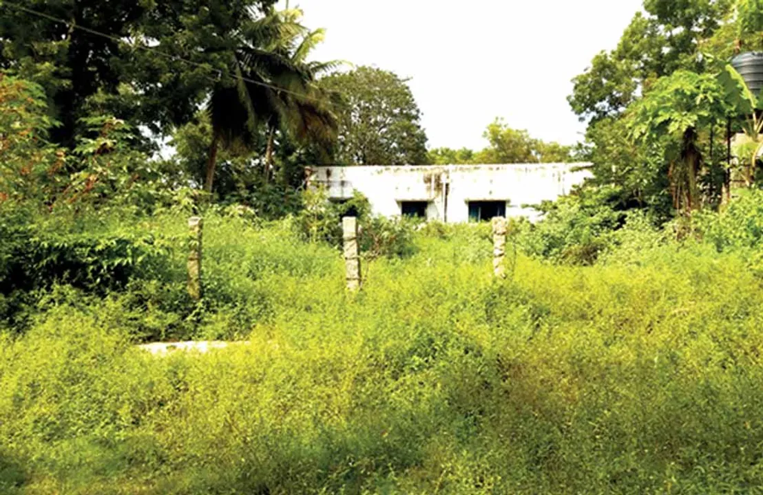  பெண்கள் ஆளானால் ரோட்டிலேயே சடங்கு! -சாதி வெறி அரசியலால் பரிதவிக்கும் கிராமம்!