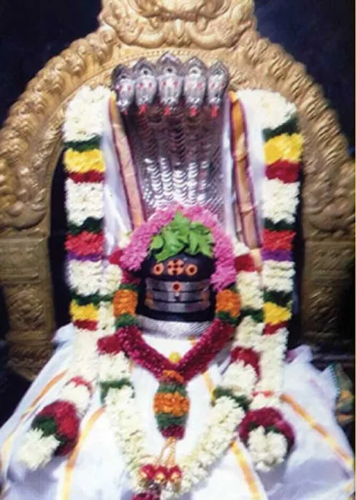  தீராத நோய் தீர்த்தருளும் சூலூர் வைத்தியநாதசுவாமி! -கோவை ஆறுமுகம்