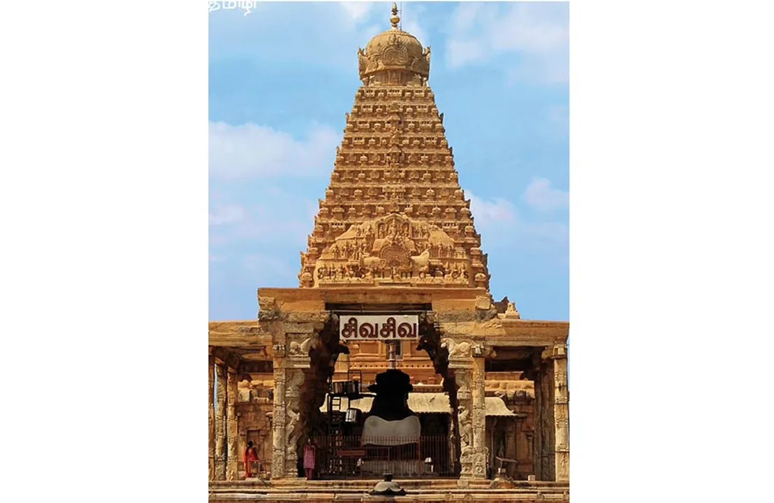  மாவலி பதில்கள்