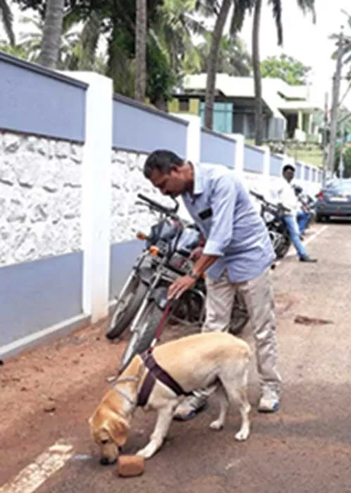  ஆளுங்கட்சி எம்.பி. வீட்டு வாசலில் தீபாவளி கொண்டாடியது யார்?