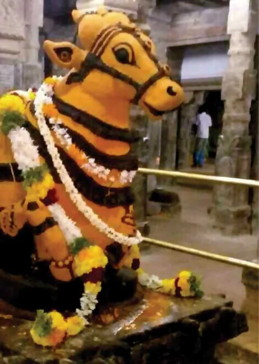  நலமெல்லாம் விரைந்து தரும் நந்தி வழிபாட்டு ரகசியம்! -வைபவ ஜோதிடர் ரெ. ஸ்ரீராம்