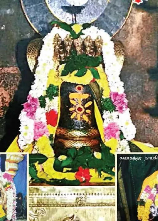  பெருந்துயரகற்றும் பெருஞ்சேரி வாகீஸ்வரர்! -கோவை ஆறுமுகம்