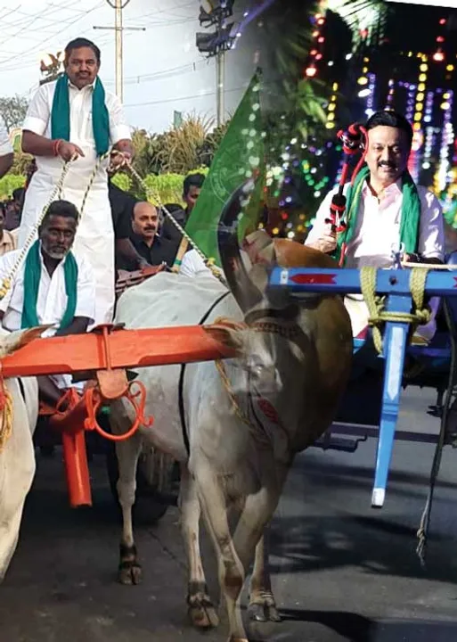  மாவலி பதில்கள்!