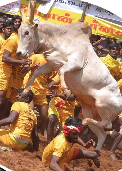 மாவலி பதில்கள்!