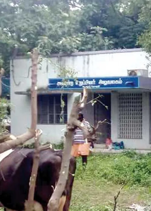 சிக்னல் : அலுவலகம் சரியாச்சு! அமைச்சர் வருவாரா?
