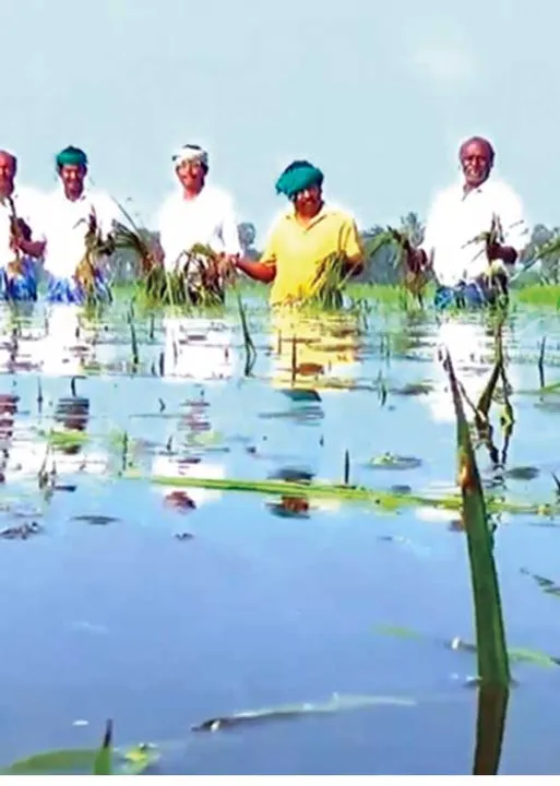  விவசாயக் கடன்... நகைக் கடன்... உள்ளபடியே தள்ளுபடியா? - நிஜ நிலவரம்!