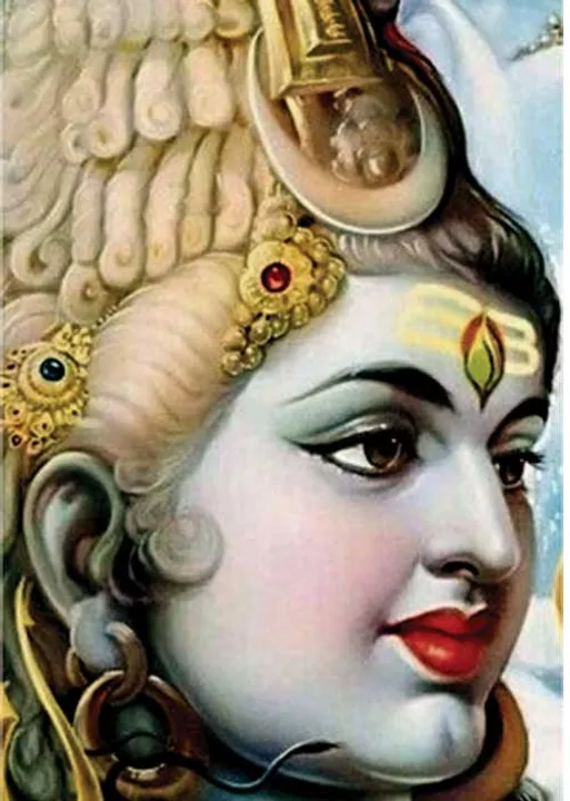  27 நட்சத்திர சிறப்பம்சங்கள்! - (8) 