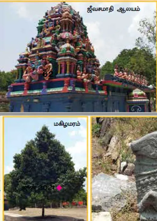  ஒளிவடிவில் காட்சி தரும் அனுகூலநாத மாமுனிவர்!