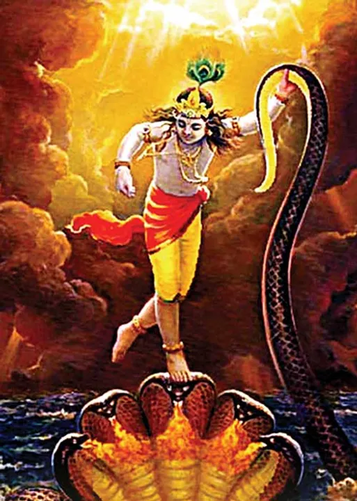  சரிப்பட்டு வராது! யாருக்கு-எது? -ஆர். மகாலட்சுமி