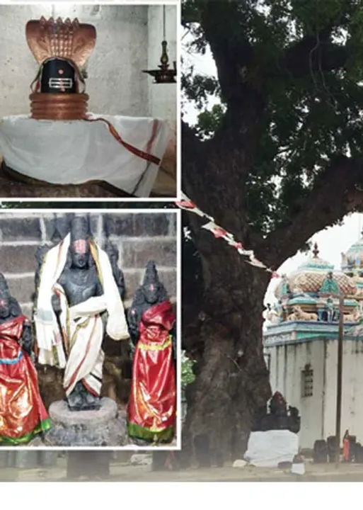  ஊமைச் சிறுவனைப் பேசவைத்த பரவாய் பெருமாள்! - எஸ்.பி.சேகர்
