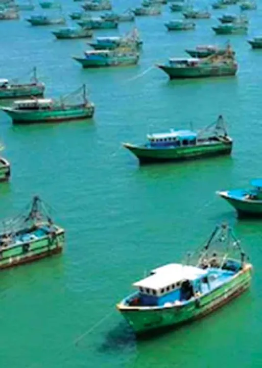  தமிழக மீனவர் கொல்லப்பட்டால் நிவாரணம் கூட கிடையாதா? -இலங்கை அராஜகம்! இந்தியா அநீதி!