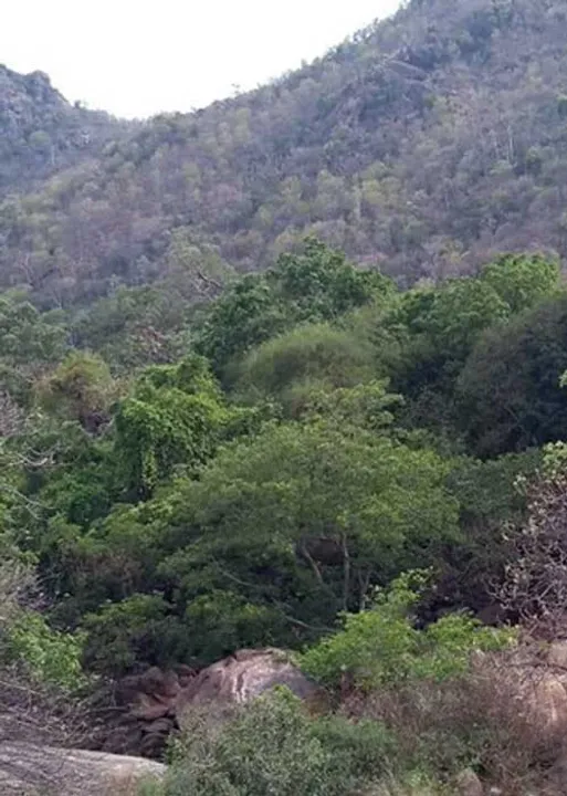  அண்டத்தில் உள்ளதே பிண்டத்திலும்! - அடிகளார் மு.அருளானந்தம் 31