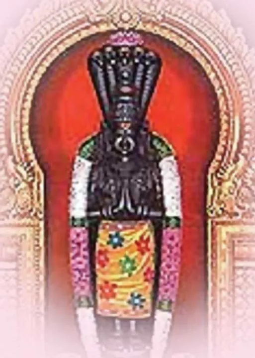  மதி மயக்கினாலும் கேது நல்லவரே! -சச்சிதானந்த பெருமாள்