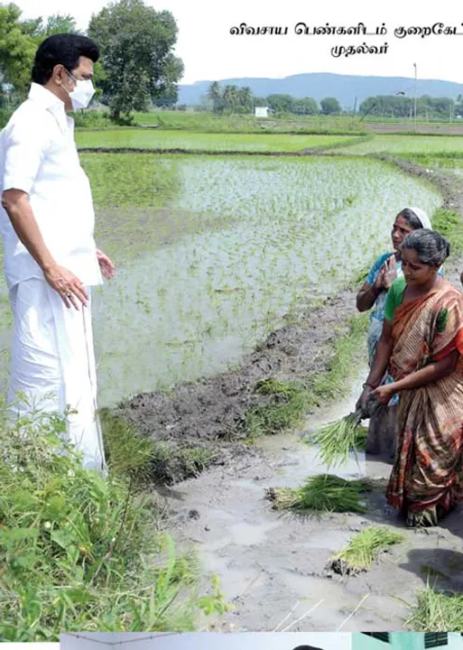  மாவலி பதில்கள்!