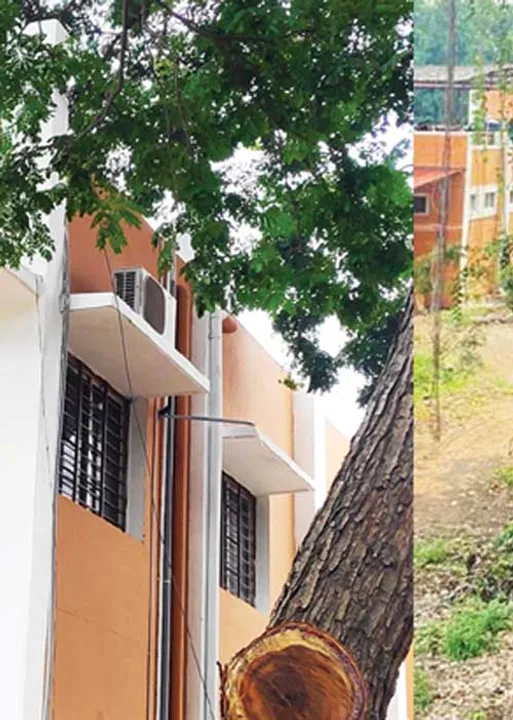  வேளாண் பல்கலையில் மரங்கள் கடத்தல்! துணைவேந்தர் மீது பகீர் புகார்!