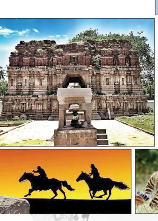  அரச குழந்தைக்கு தொப்புள்கொடி பொன்தாயத்து! - அடிகளார் மு.அருளானந்தம் 35