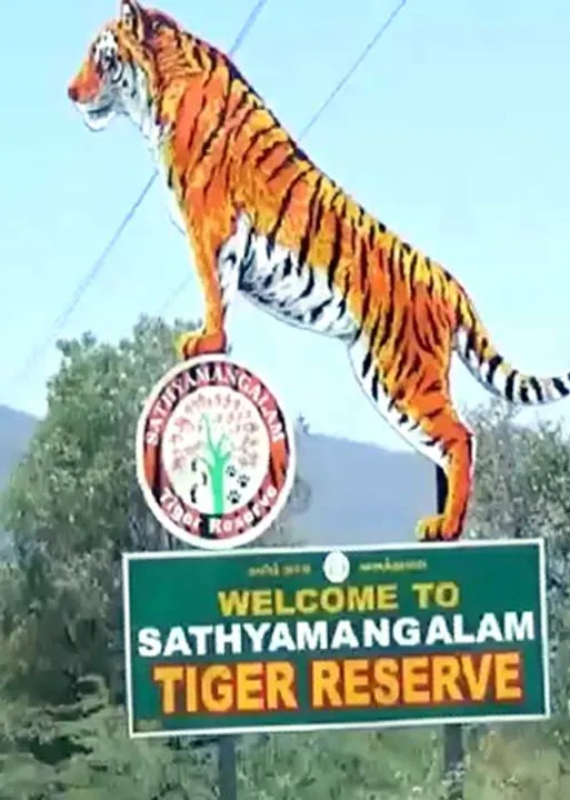  மாநிலம்… தேசியம்… சர்வதேசியம்!