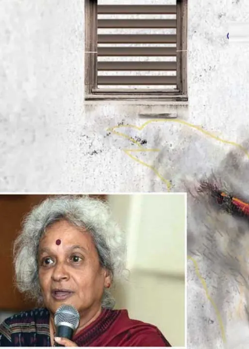  சாக்திய அகாடசி விருதுபெறும் அம்பை எனும் ஆளுமை! -முனைவர் சி.இரா. மஞ்சுளா