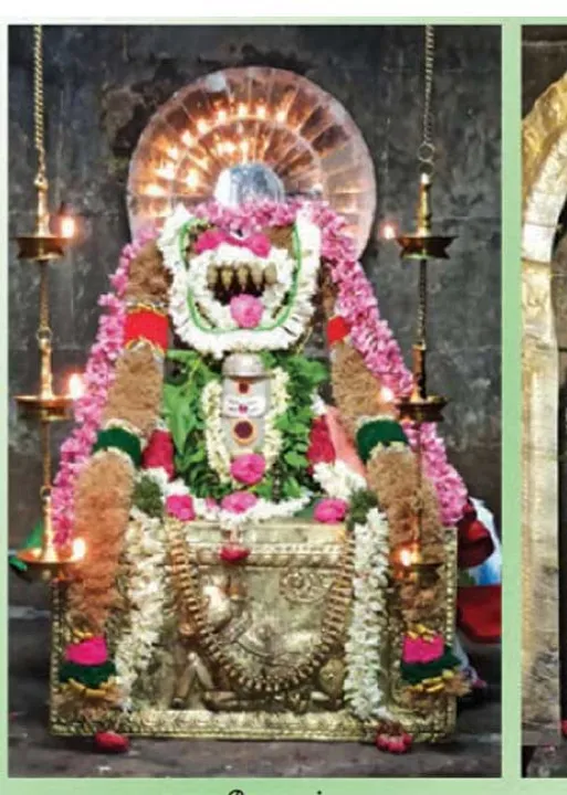  மகிமைகள் மிகுந்த மருத்துவக்குடி மகேசர்! - பழங்காமூர் மோ. கணேஷ்