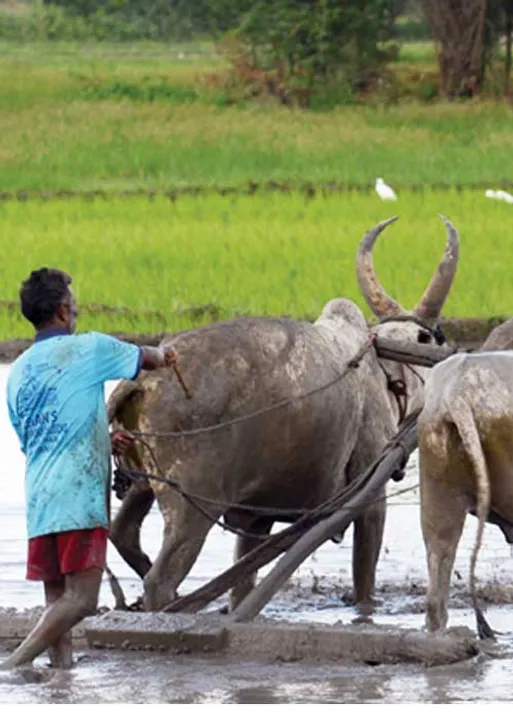  மனிதகளின் கிராமத்தில்...(கொங்கணி கதை) - தாமோதர் மவ்ஜோ தமிழில் : சுரா