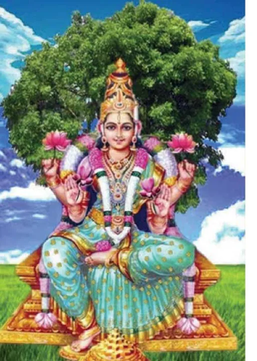  மங்னையரின் உடற்கூறும், அதிர்ஷ்ட நிலைகளும்! -எஸ். விஜயநரசிம்மன்