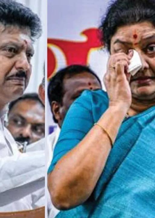  அக்கா - தம்பி! அடடே அரசியல்!