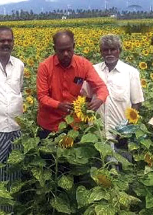  மாநிலம் தேசம் சர்வதேசம்!