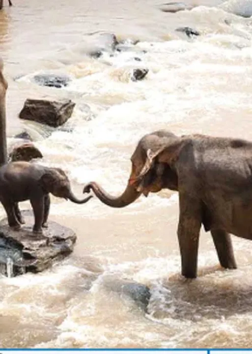 மாநிலம் தேசம் சர்வதேசம்!
