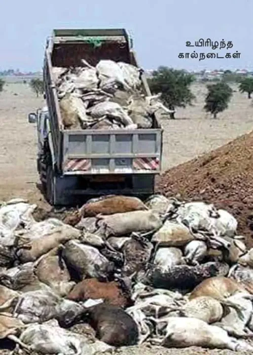  மாநிலம் தேசியம் சர்வதேசியம்!