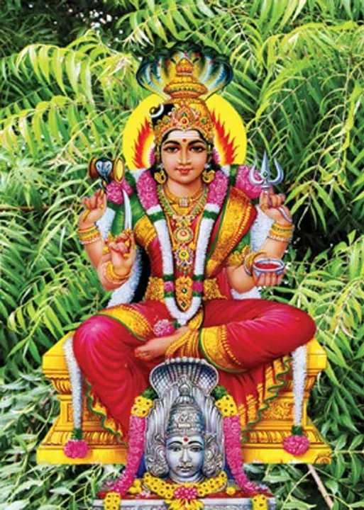  நன்மை பல சேர்க்கும் 27 நட்சத்திர விருட்சங்கள்! -மேல்மருவத்தூர் எஸ். கலைவாணி