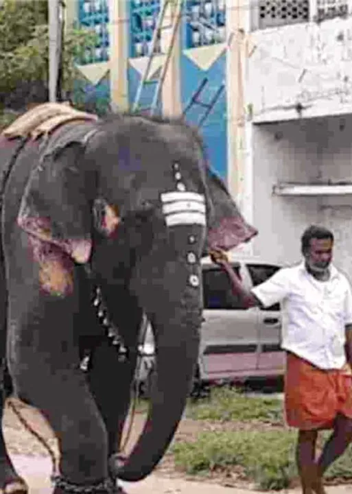  செம்படையினரின் ரத்தத்துளி சூளுரை! - அடிகளார் மு.அருளானந்தம் சித்தர் கால சிறந்த நாகரிகம் 46