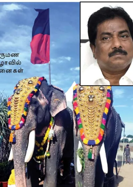  திருமணத்துக்கு யானைகள்! சர்ச்சையில் சிக்கும் அமைச்சர் மூர்த்தி!