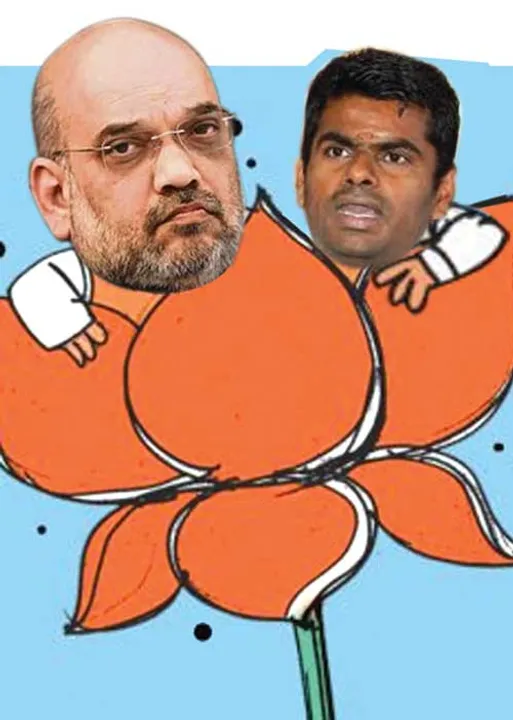  அ.தி.மு.க.வை வீழ்த்த நல்ல வாய்ப்பு - பா.ஜ.க.!
