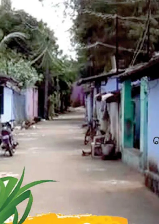  மூன்று தலைமுறையாக பொங்கல் வைக்காத கிராமம்!