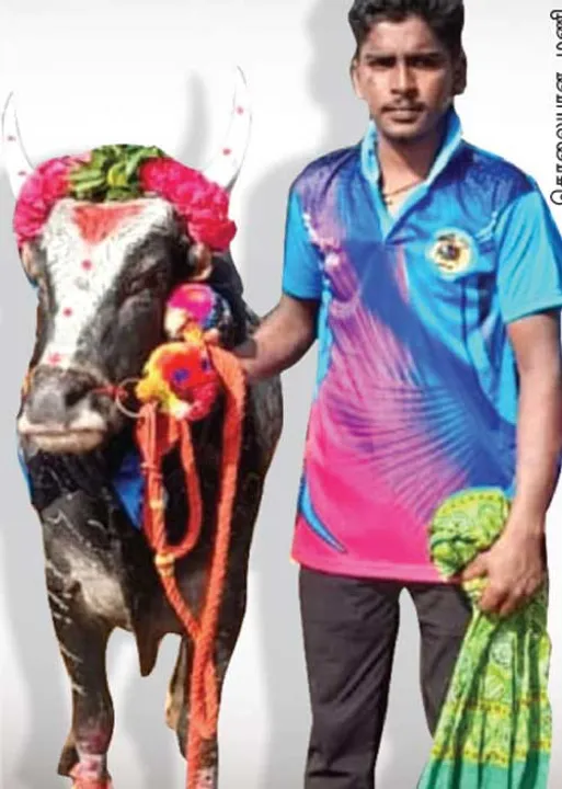  ஜல்லிக்கட்டு வீரரை வீழ்த்திய சபலம்! -பகீர் ரிப்போர்ட்!