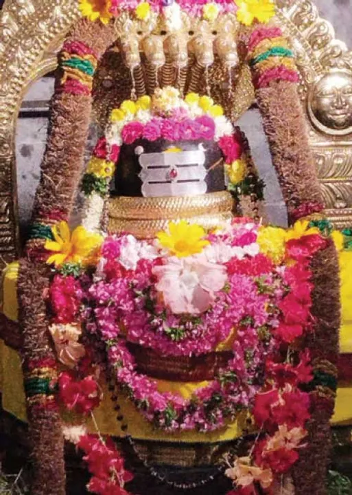  வெளிச்சத்திற்கு வாங்க (50) -விசு அய்யர்