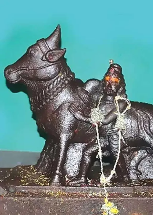  திமில்! அடங்காத காளைகளின் ஆடுகளம்! -ல.ராஜ்குமார்  (14) 