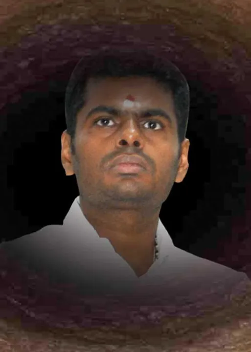  பூமராங் வெட்டிய குழியில் விழுந்த ஹனி ட்ராப் அண்ணாமலை! - பா.ஜ.க.வை அலறவிடும் புதிய வீடியோக்கள்!