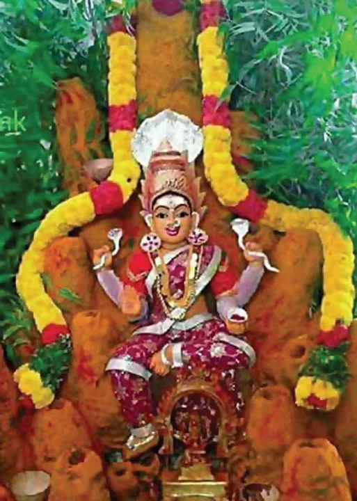  மீன லக்னத்திற்கு 12 பாவங்களில் செவ்வாய்!