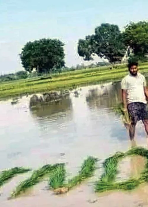  மாநிலம் தேசம் சர்வதேசம்!