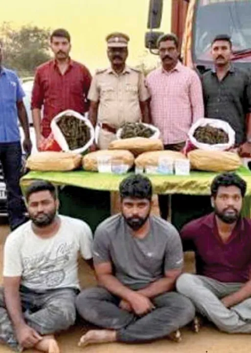  ஊடகத்துறையில் போலி ஆசாமிகள் கட்டுப்படுத்துமா அரசு?