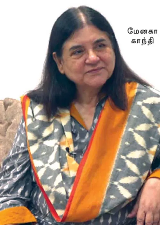  மாவலி பதில்கள்