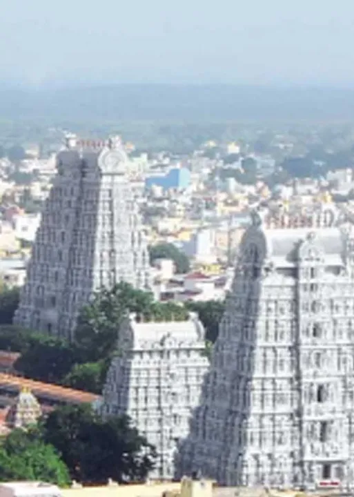  க்ரைம் புரோக்கர்களால் பிச்சை எடுக்கும் சிறார்கள்! -அண்ணாமலை நகரை அதிரவைக்கும் பிஸ்னஸ்!
