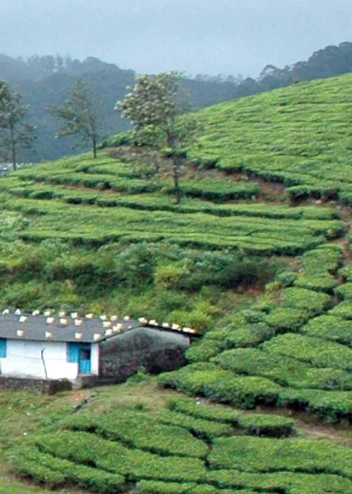  குட்டி காஷ்மீரில் குத்தாட்டம்! அதிகாரிகள் தடுப்பார்களா?