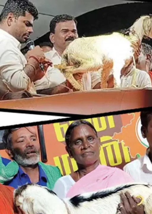  மாநிலம் தேசம் சர்வதேசம்!