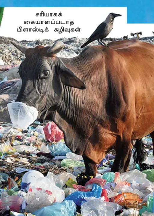  மாவலி பதில்கள்!