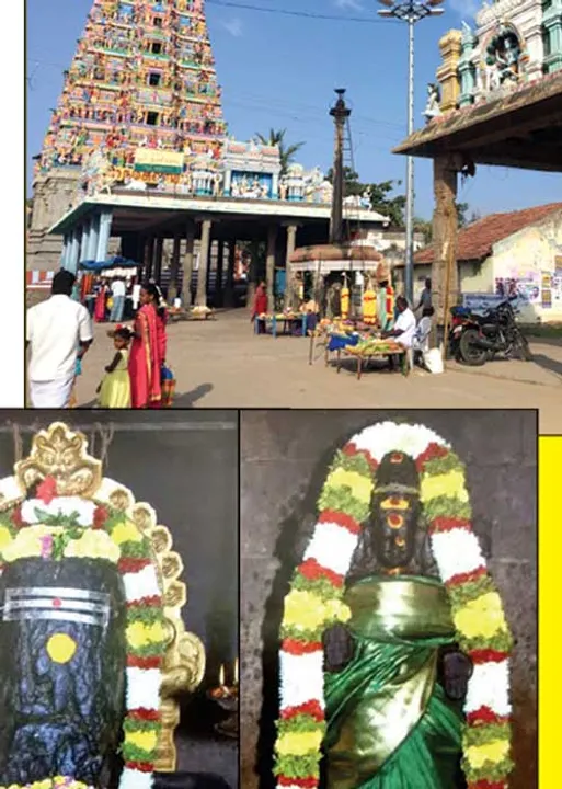  மிளகை உளுந்தாக மாற்றிய ஈஸ்வரன்! எஸ்.பி. சேகர்