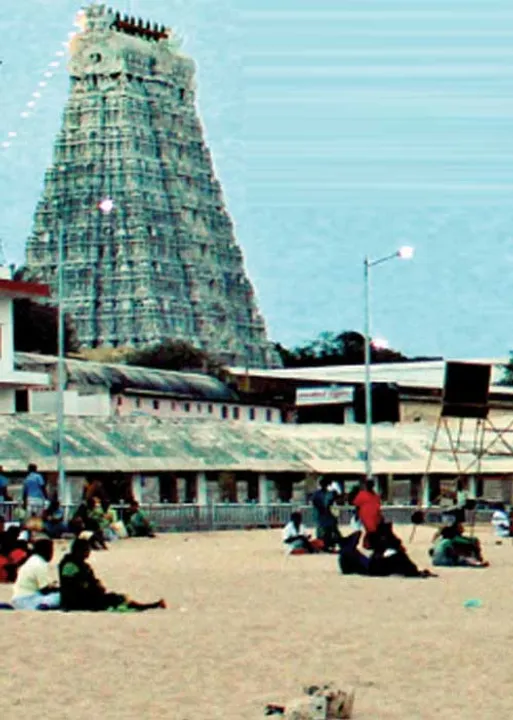  கோடிக்கணக்கில் கொள்ளை! திருச்செந்தூர் முருகனுக்கே விபூதி... அம்பலப்படுத்திய ஆர்.டி.ஐ!