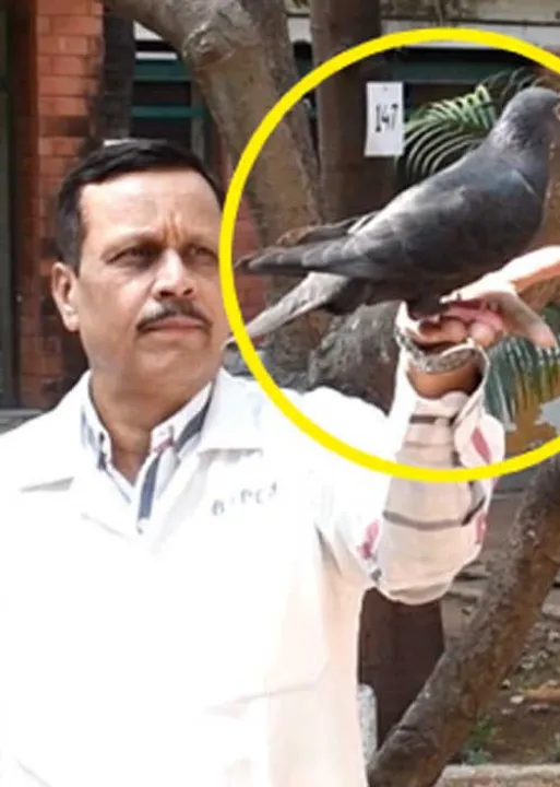  மாவலி பதில்கள்!