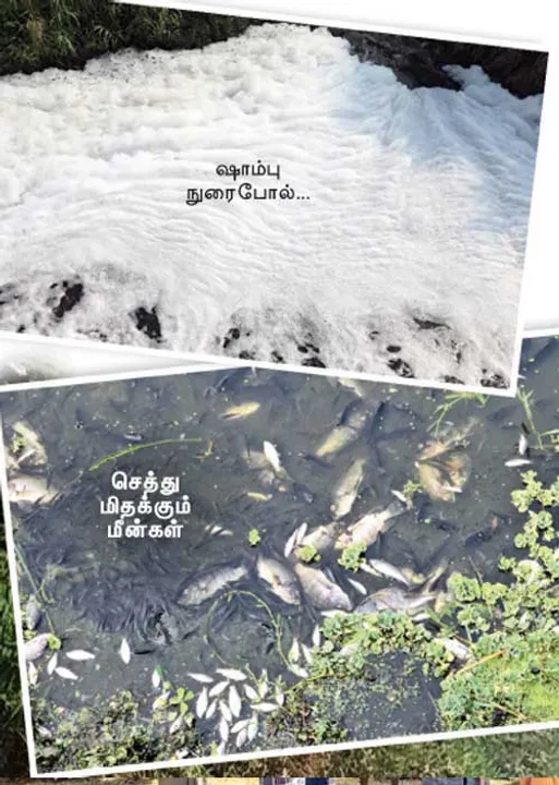  பாழாகும் பாலாறு! -கண்டுகொள்ளாத அதிகாரிகள்!